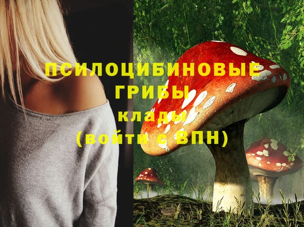 spice Абдулино